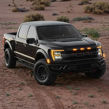 Power Stroke in Roseland