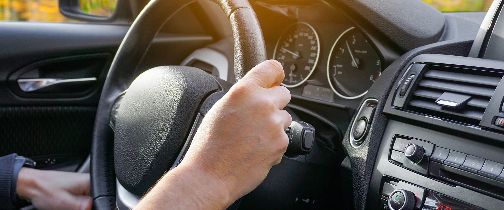 Steering Repair near Roseland